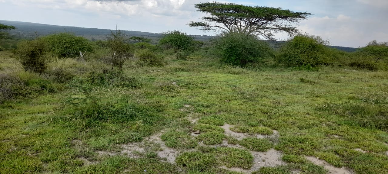 8 Acres land for Sale in Kajiado