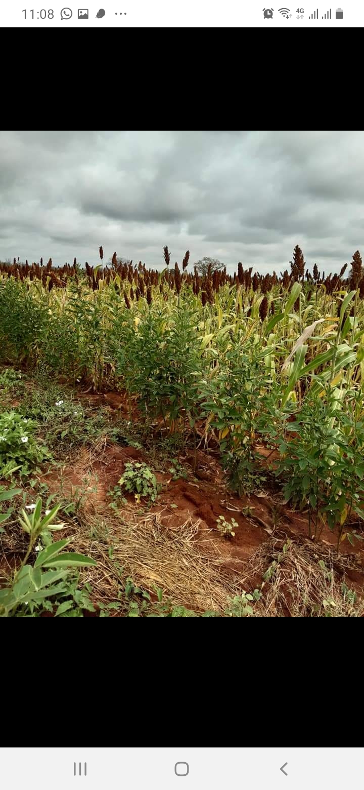 100 acres for sale at Mtito Andei