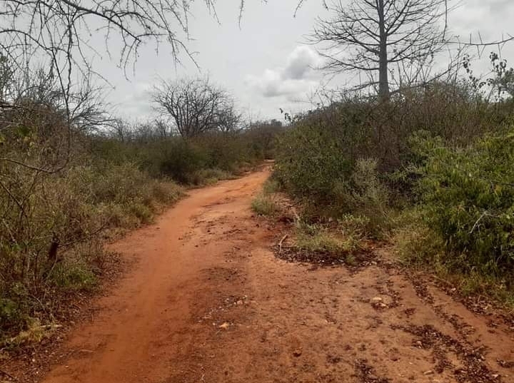 100 acres for sale at Mtito Andei