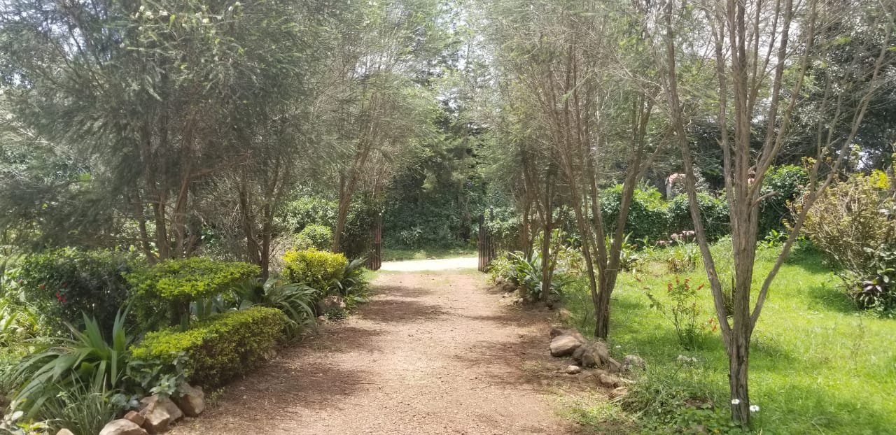 PRIME COMMERCIAL PROPERTY FOR SALE AT THE HEART OF KERICHO TOWN