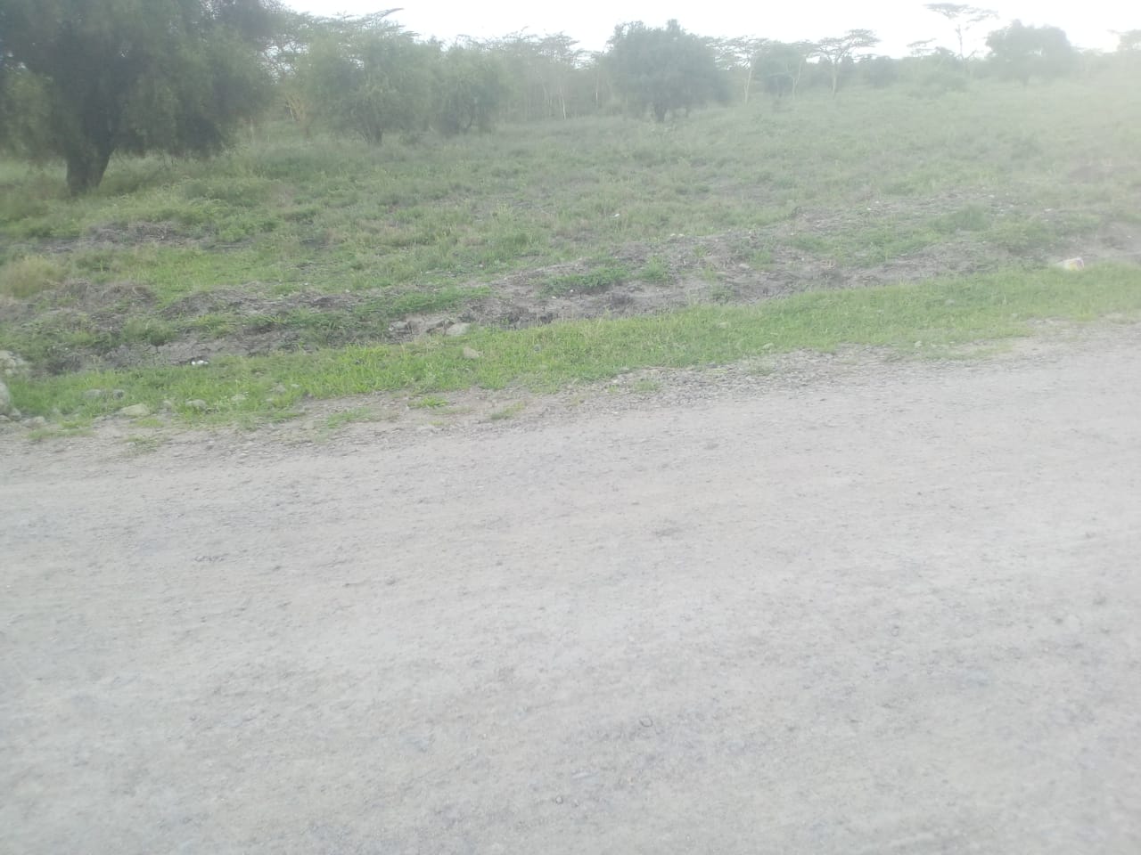 2 acres at makuyu