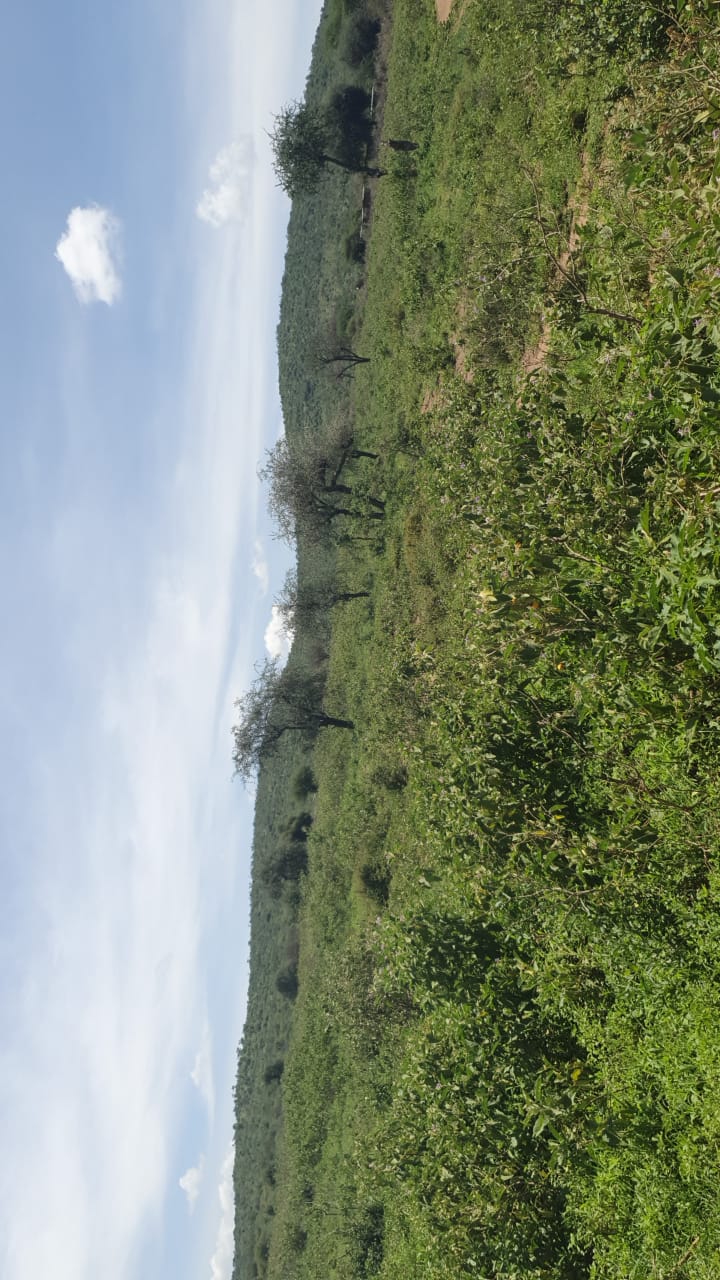 3 acres in murang'a