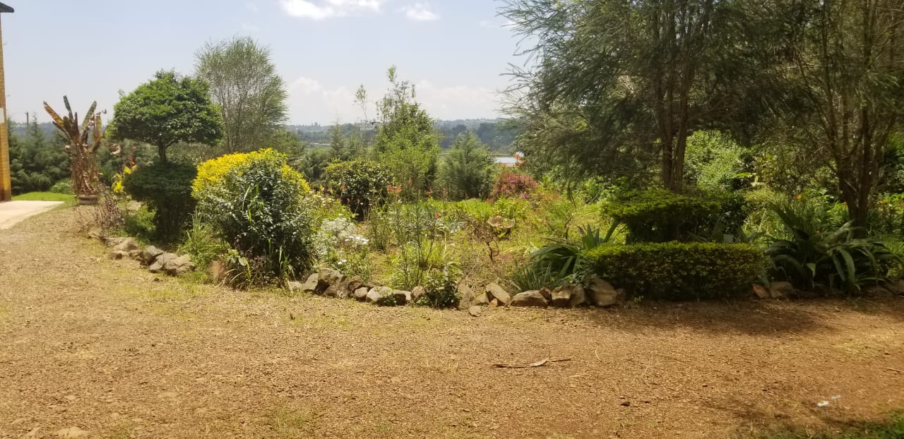 PRIME COMMERCIAL PROPERTY FOR SALE AT THE HEART OF KERICHO TOWN