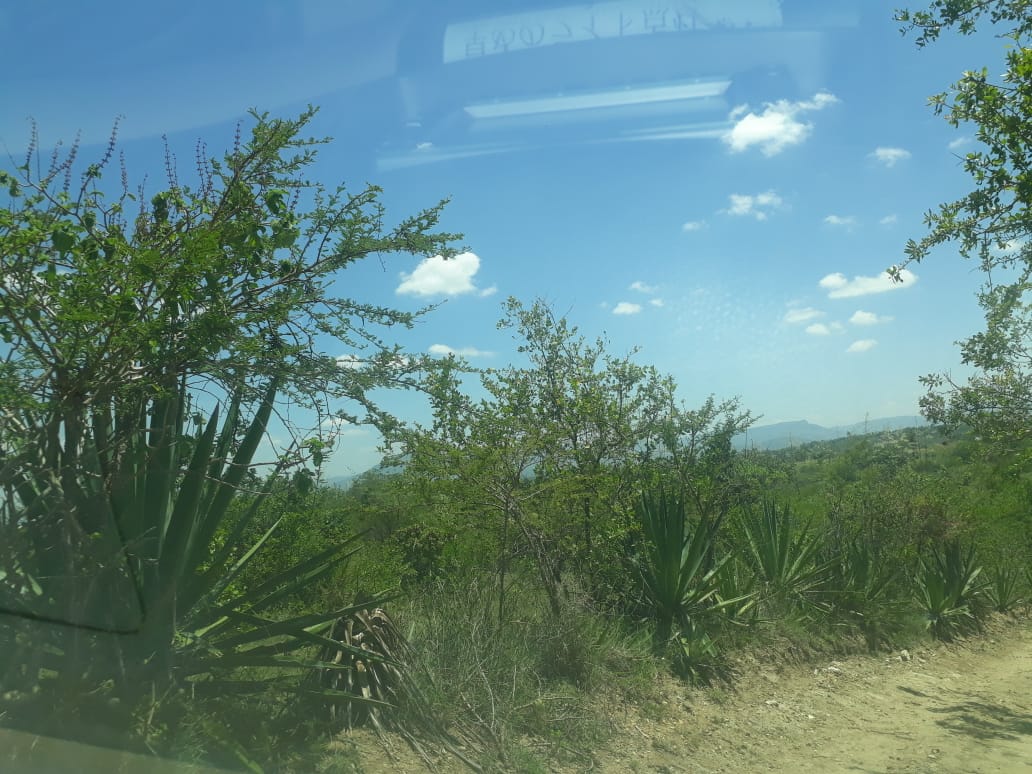 30 Acres land for sale in Masii, Mwala Machakos