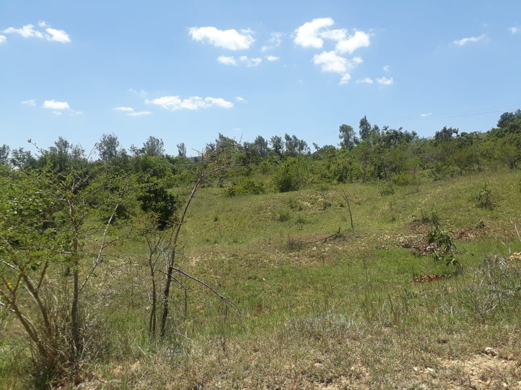 30 Acres land for sale in Masii, Mwala Machakos