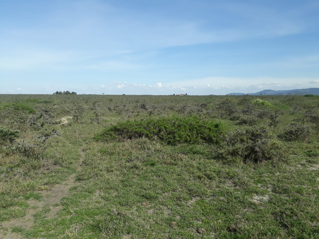 105 Acres for Sale in Taala Matungulu Machakos County