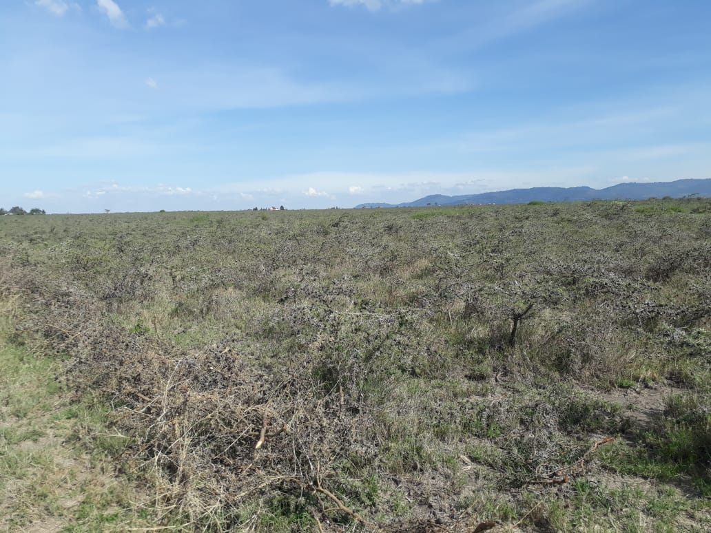 105 Acres for Sale in Taala Matungulu Machakos County