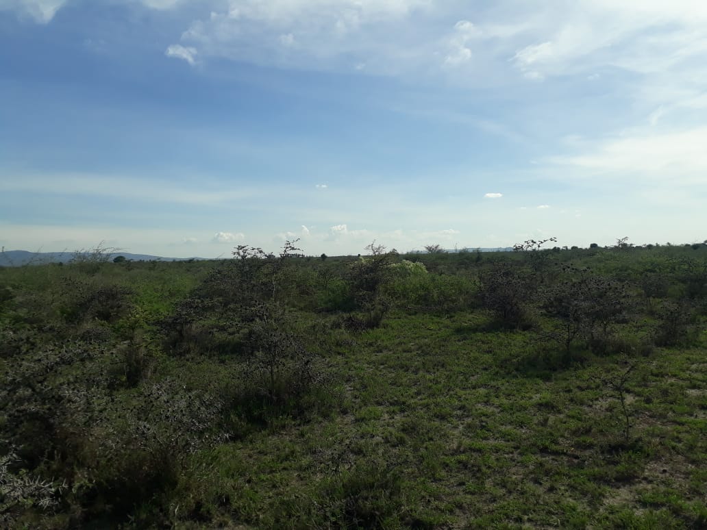 105 Acres for Sale in Taala Matungulu Machakos County