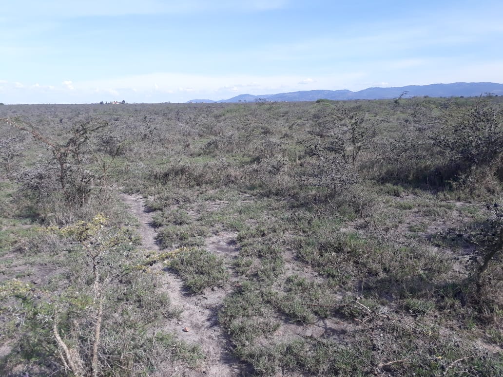 105 Acres for Sale in Taala Matungulu Machakos County