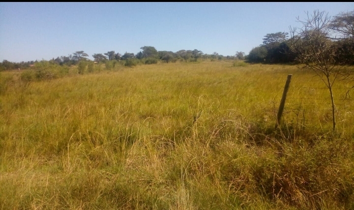 5 acres at gatuanyaga 