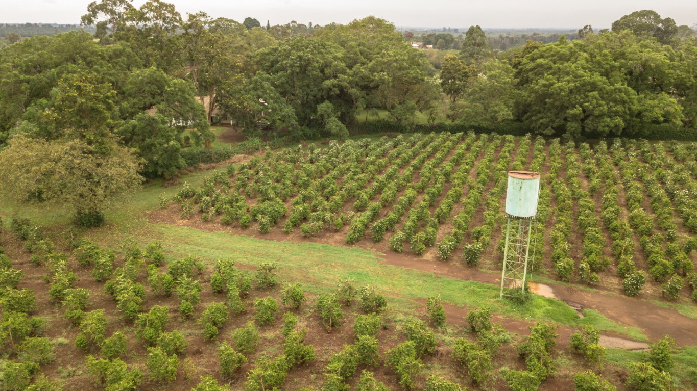 1/4 (100 x 100) PLOTS FOR SALE IN TATU CITY TARATIBU AT OAKLANDS