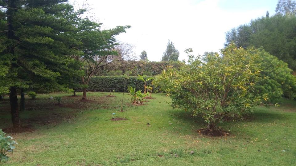 Residential house for sale