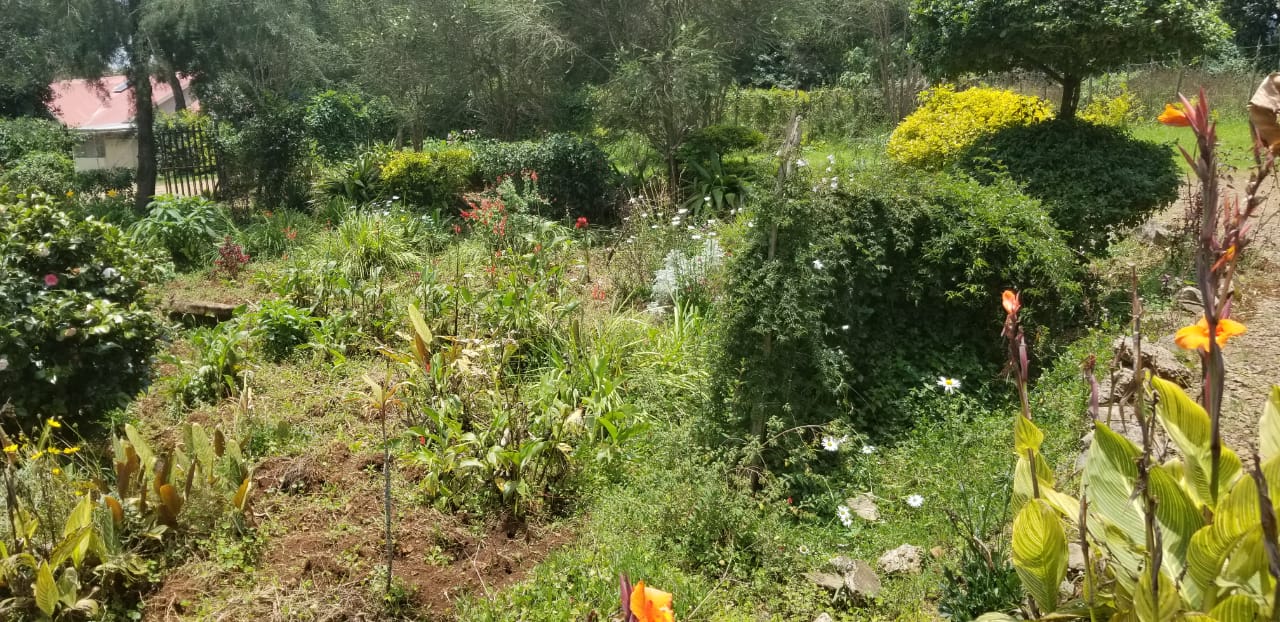 PRIME COMMERCIAL PROPERTY FOR SALE AT THE HEART OF KERICHO TOWN