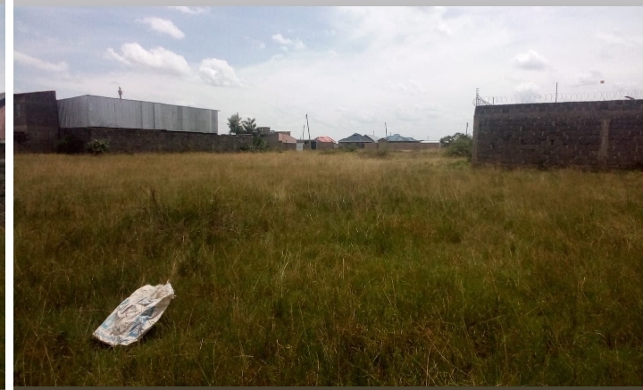 40 by 80 salama estate thika 