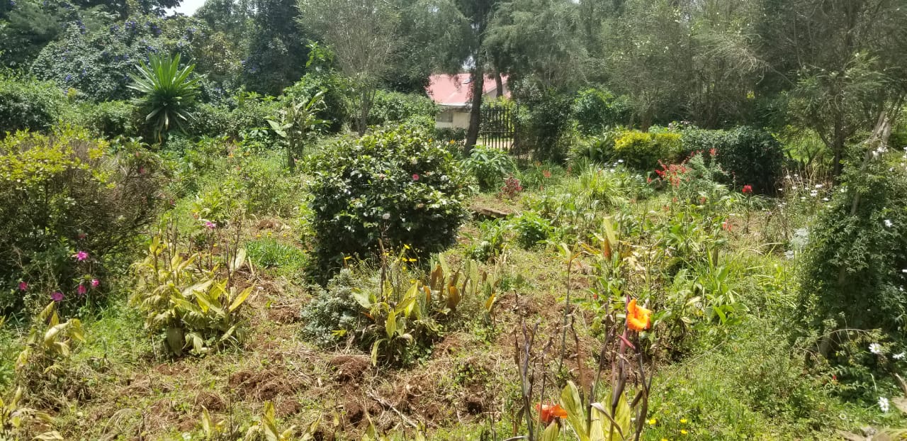 PRIME COMMERCIAL PROPERTY FOR SALE AT THE HEART OF KERICHO TOWN
