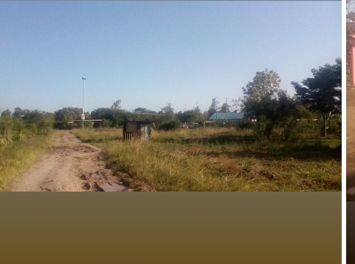 200 by 230 plot at gatuanyaga thika 