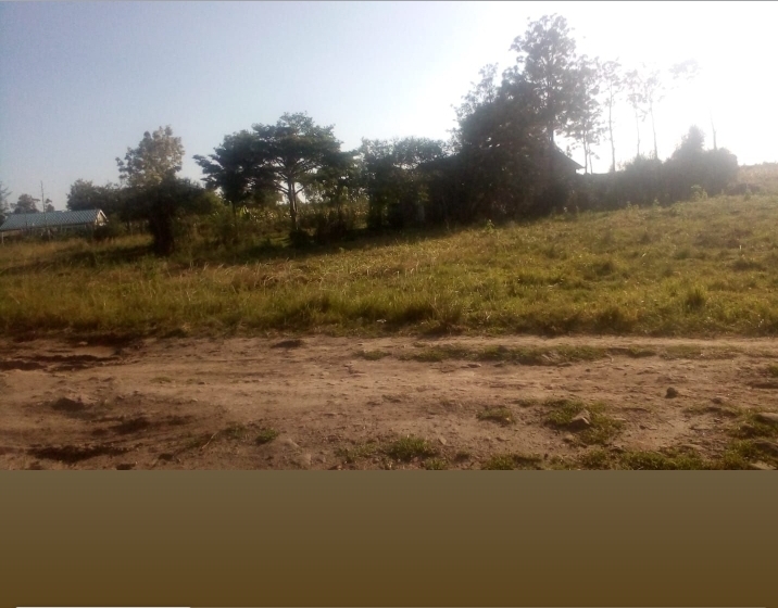 200 by 230 plot at gatuanyaga thika 