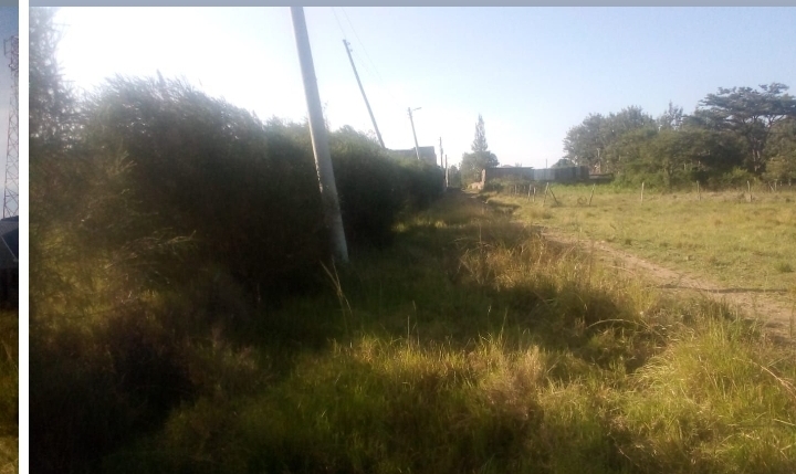 6 acres at ngoliba