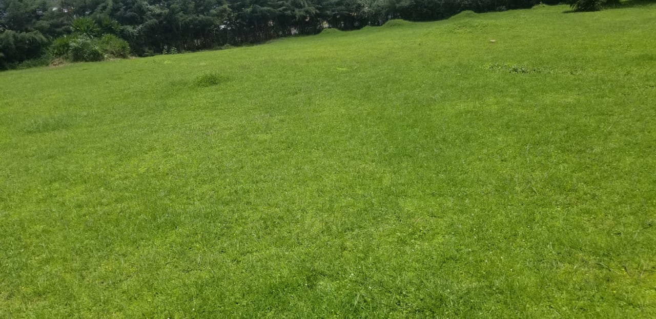 PRIME COMMERCIAL PROPERTY FOR SALE AT THE HEART OF KERICHO TOWN