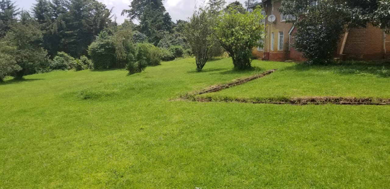 PRIME COMMERCIAL PROPERTY FOR SALE AT THE HEART OF KERICHO TOWN