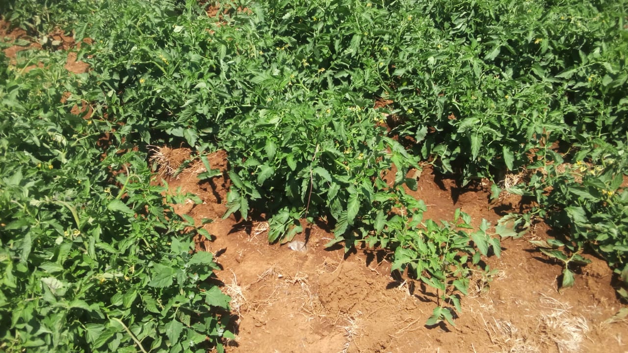 1000 acres at rumuruti laikipia county 