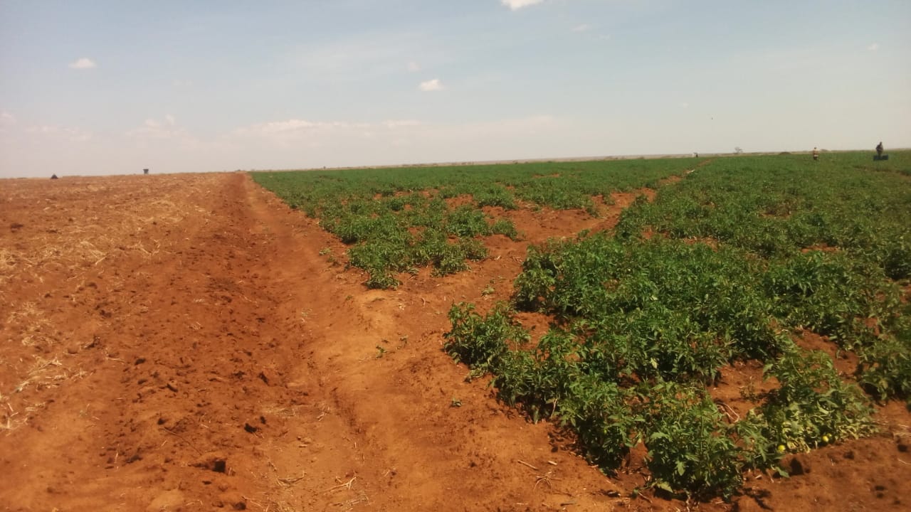 1000 acres at rumuruti laikipia county 