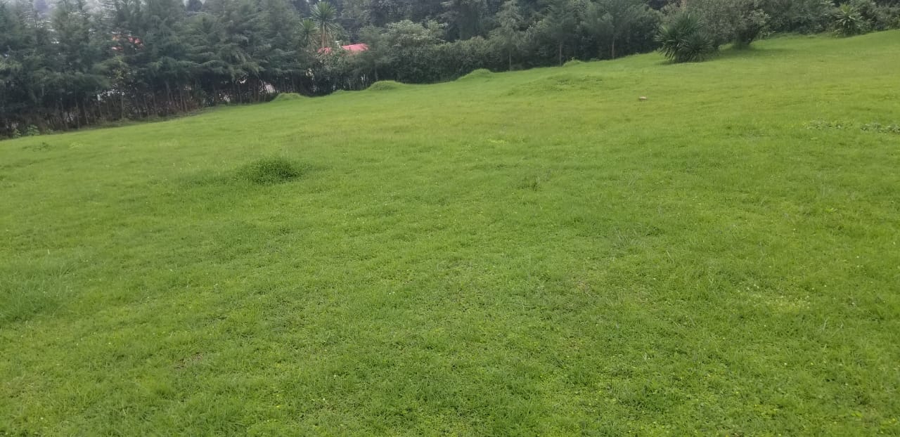 PRIME COMMERCIAL PROPERTY FOR SALE AT THE HEART OF KERICHO TOWN