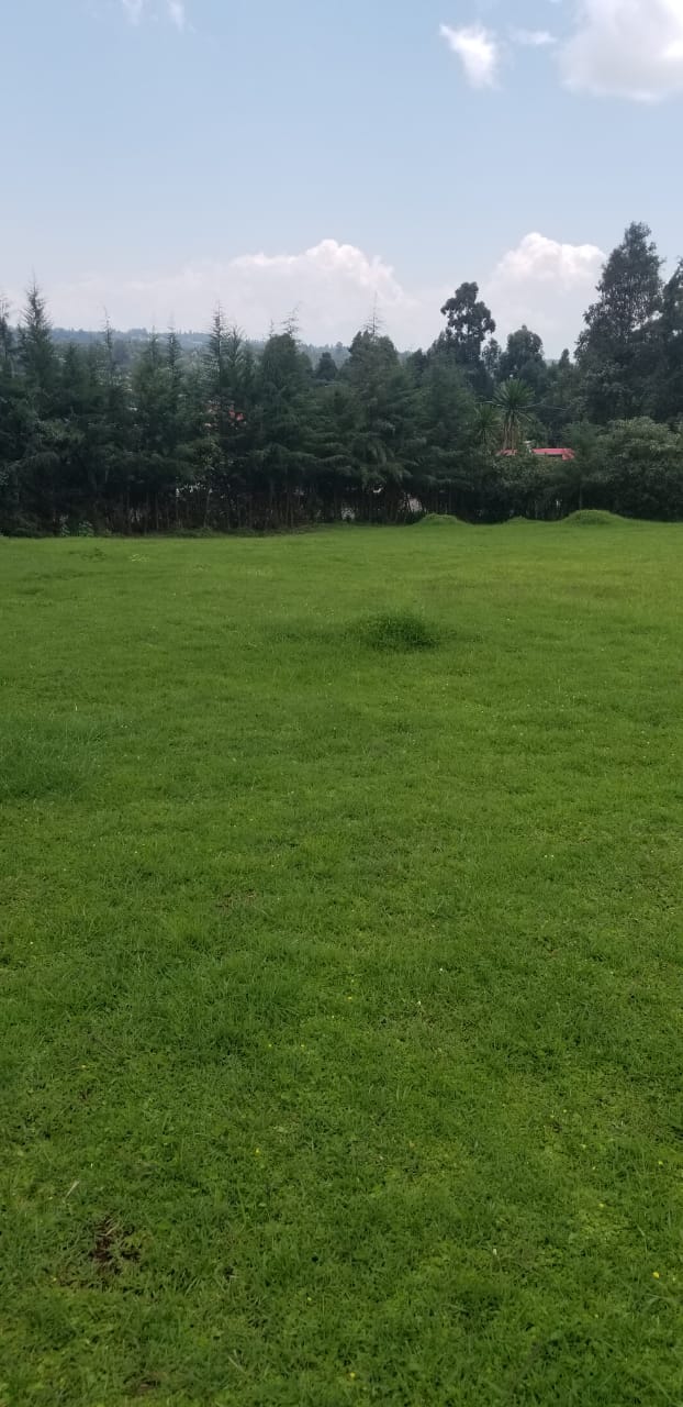 PRIME COMMERCIAL PROPERTY FOR SALE AT THE HEART OF KERICHO TOWN