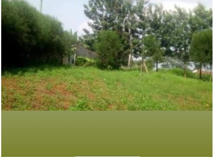 100*100 plot at kisiwa west estate thika