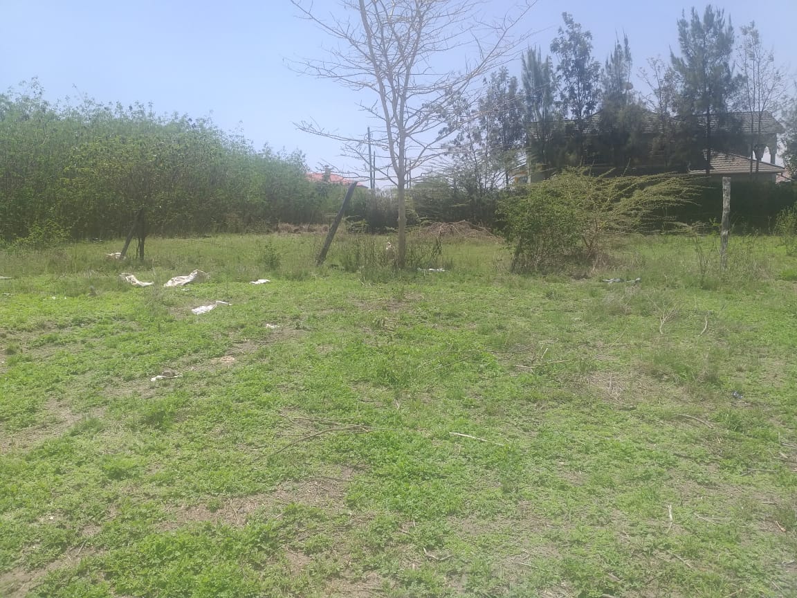 Plot at Ngong 