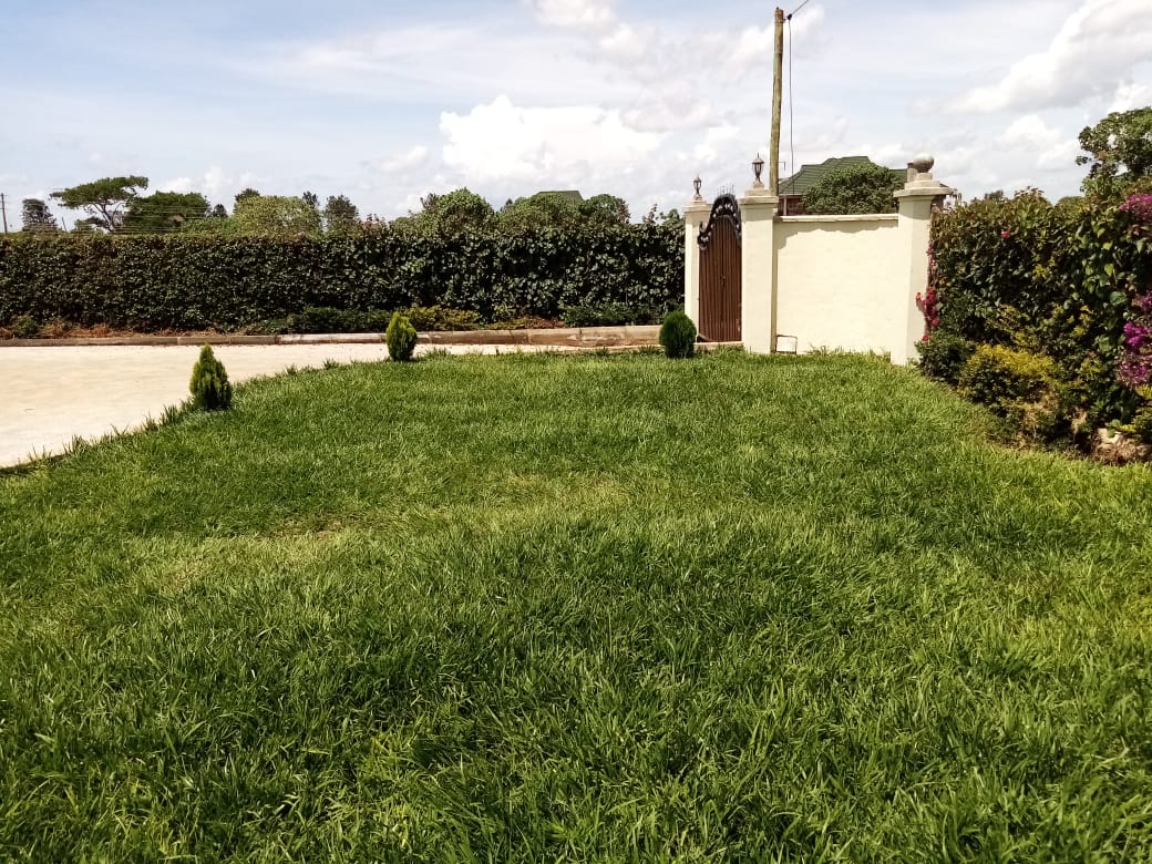 100*100 plot at lavington Nairobi 