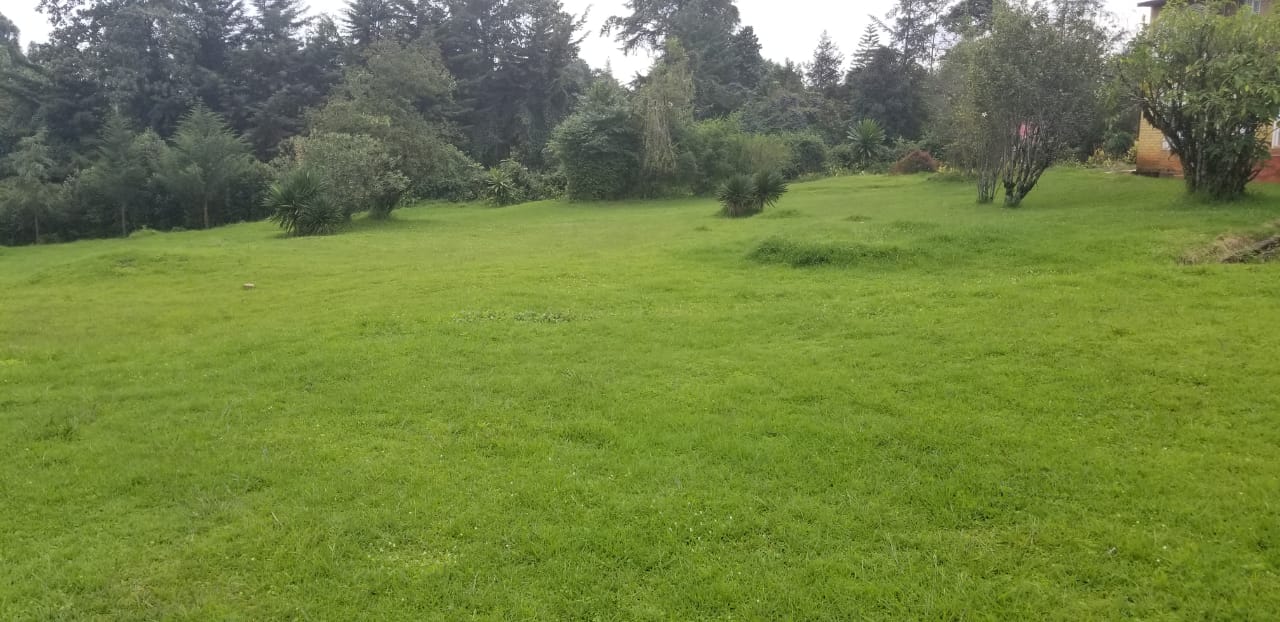 PRIME COMMERCIAL PROPERTY FOR SALE AT THE HEART OF KERICHO TOWN