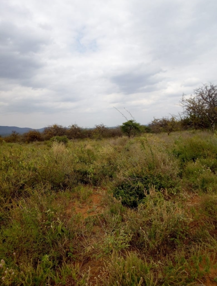 10 acres in Mlolongo .