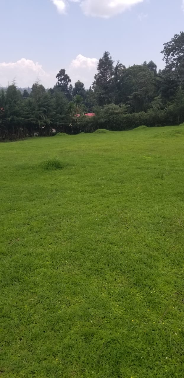 PRIME COMMERCIAL PROPERTY FOR SALE AT THE HEART OF KERICHO TOWN