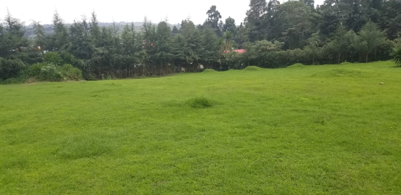 PRIME COMMERCIAL PROPERTY FOR SALE AT THE HEART OF KERICHO TOWN