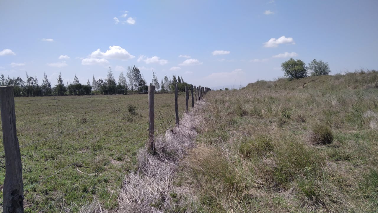 1/8th ACRE PLOTS FOR SALE IN KITENGELA