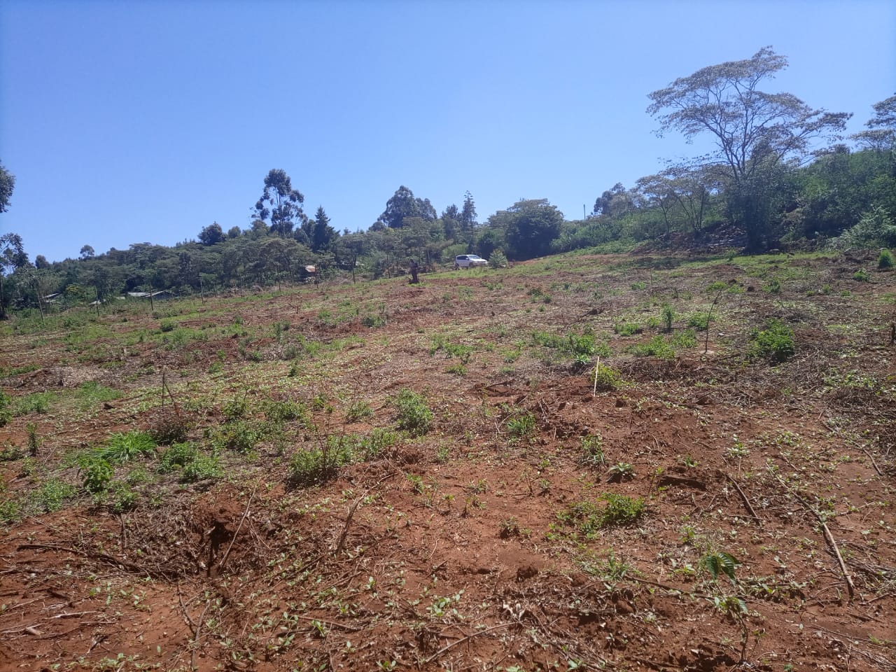 50*100 for sale at kikuyu lusengeti.