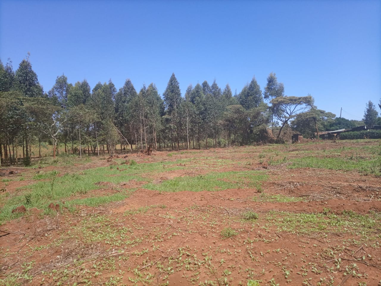 50*100 for sale at kikuyu lusengeti.