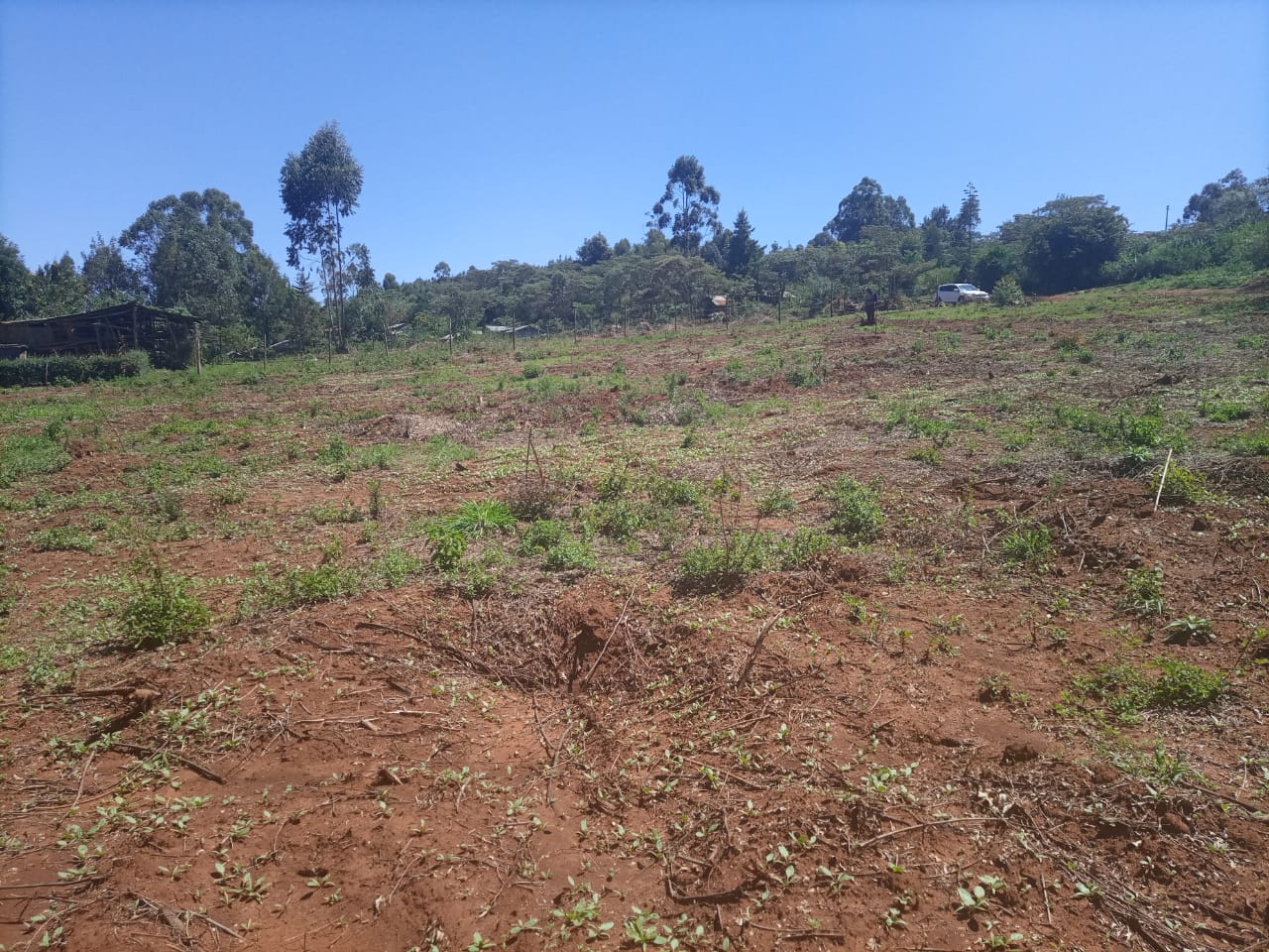 50*100 for sale at kikuyu lusengeti.