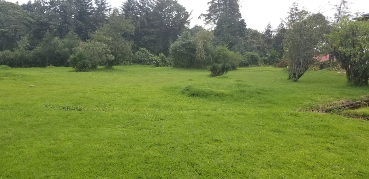 PRIME COMMERCIAL PROPERTY FOR SALE AT THE HEART OF KERICHO TOWN