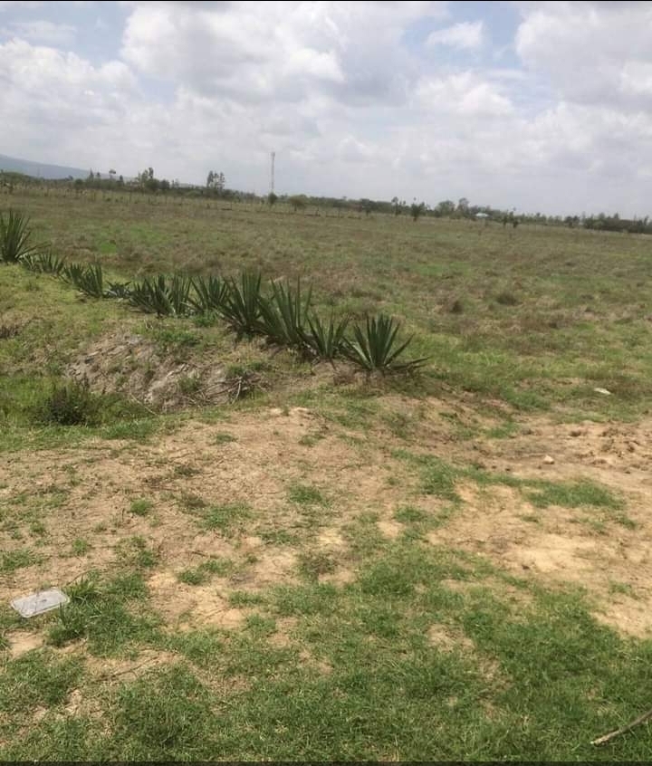 100 acres in kantafu