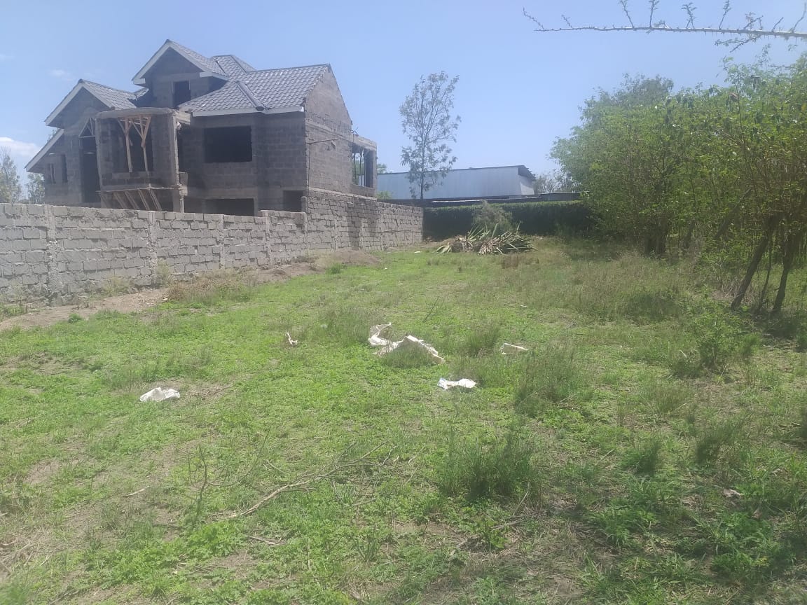 50by100 at syokimau 