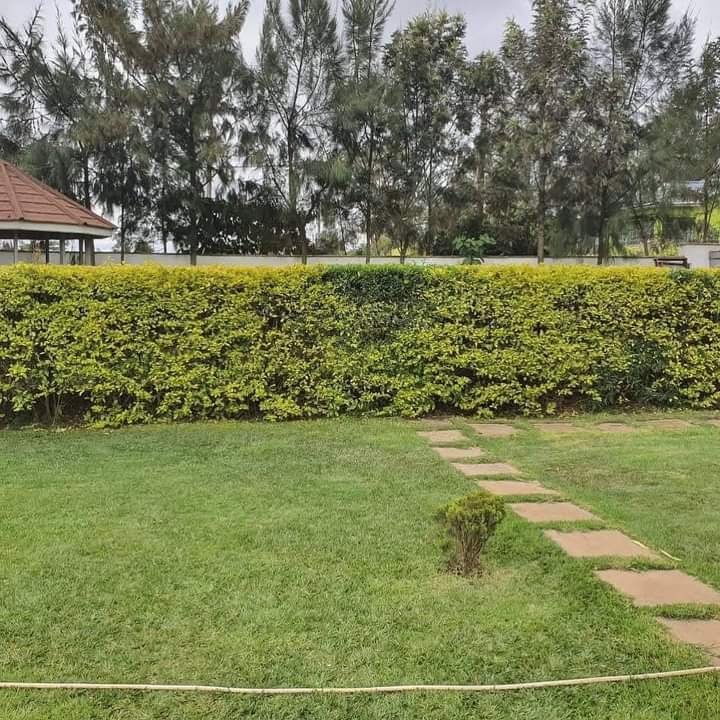 5 bedroom in syokimau 