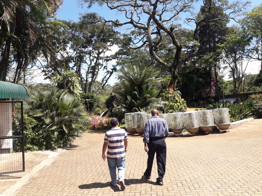 6 bedroom at muthaiga 