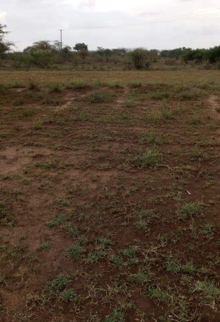 2.5 acres near mama lucy hospital 