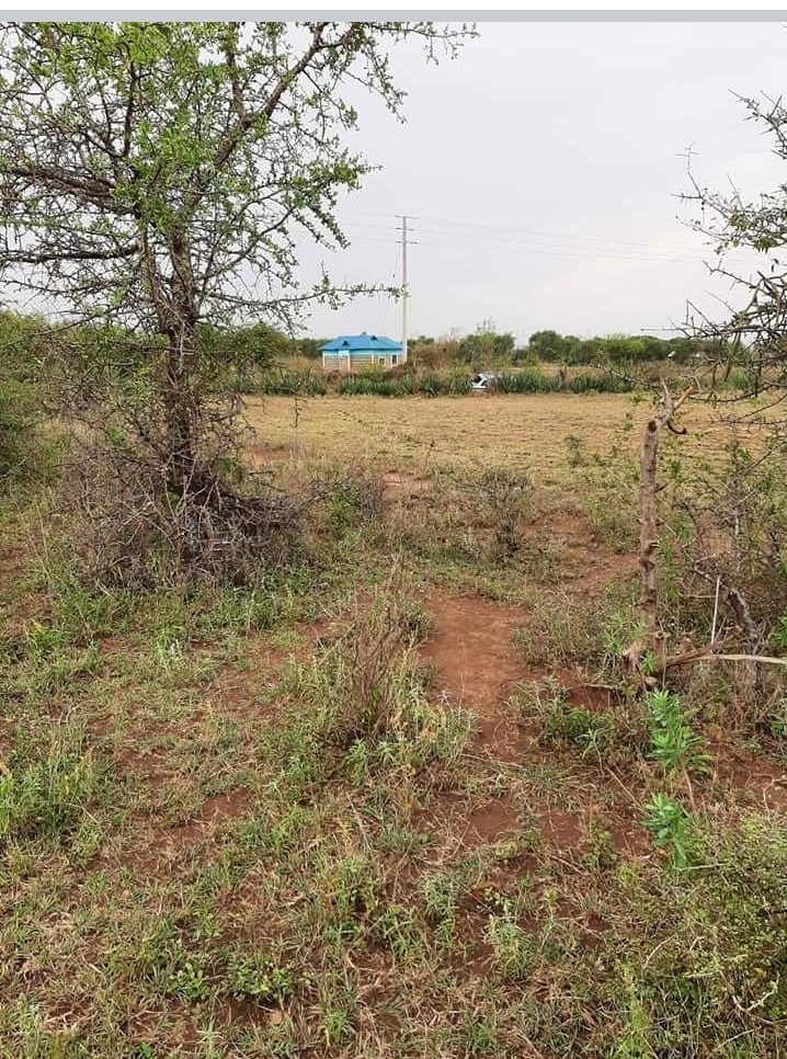 2.5 acres near mama lucy hospital 