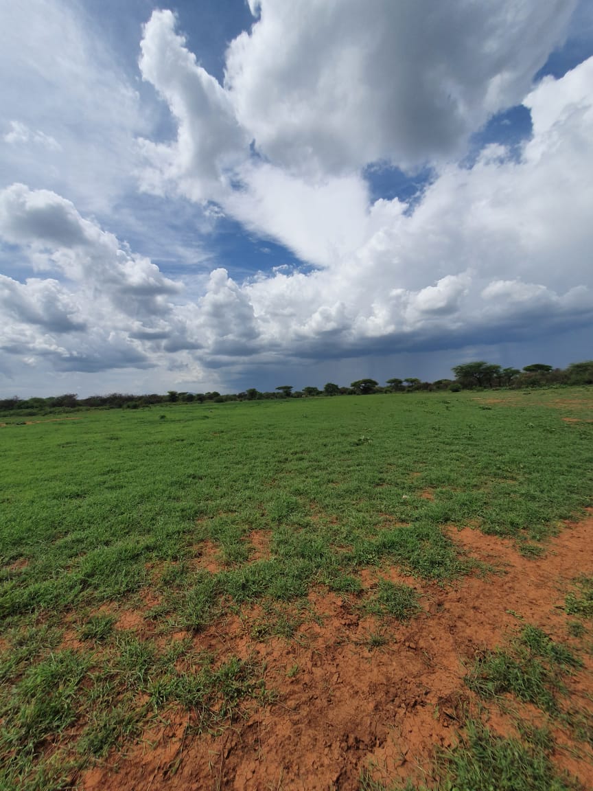 4.8 acres at langata 