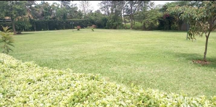 4.25 acres in westlants 