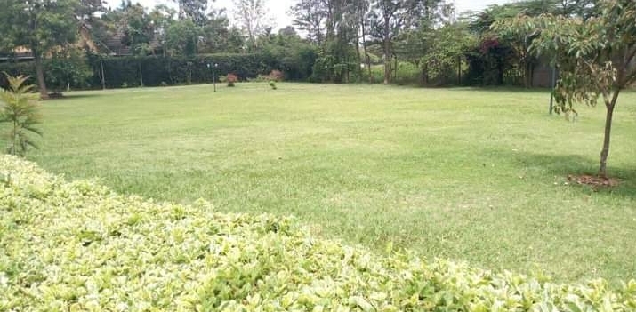 10 acres in karen