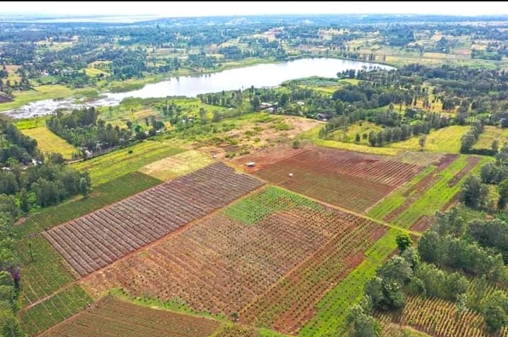 420 acres for sale.